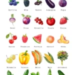 affiche decorative fruits et legumes de saison ete 2026 07 23 085758 724x1024 1