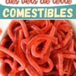 fabriquer des vers de terre comestibles 2026 07 23 085752 683x1024 1