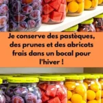 je conserve des pasteques des prunes et des abric 2026 07 18 032718 576x1024 1
