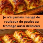 je nai jamais mange de rouleaux de poulet au from 2026 07 23 085805 576x1024 1