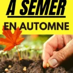 que planter en octobre au potager 11 legumes qui 2026 07 22 141706 683x1024 1